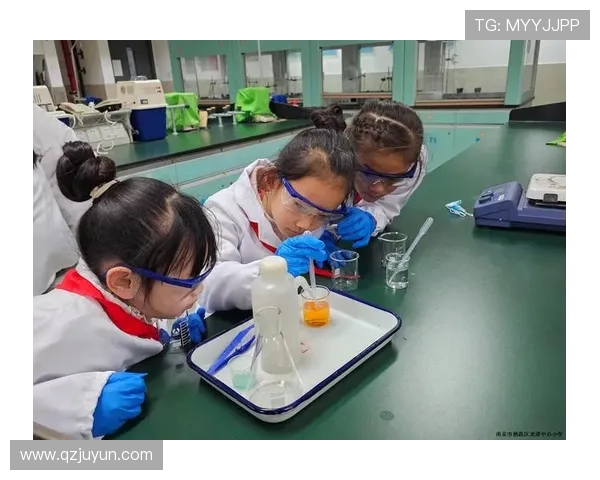 张丽的乒乓球人生深度对话探索她的奋斗与梦想之路